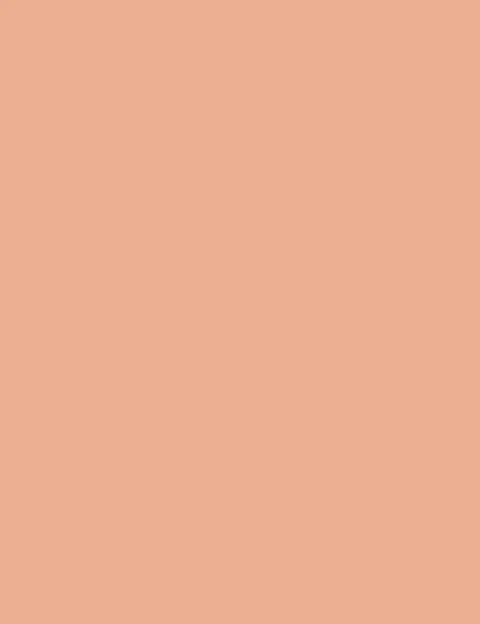 Flormar Baked Blush-On 043 Np - Image 4