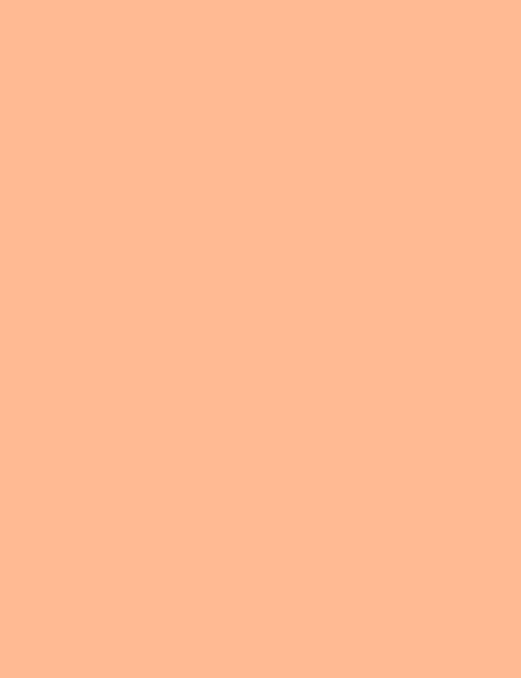 Flormar Baked Blush-On 056 Np - Image 3