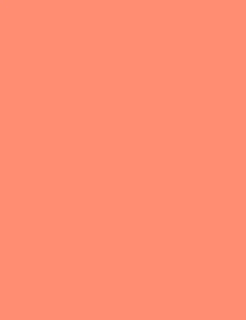 Flormar Blush-On 109 Np - Image 4