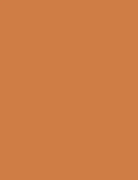 Flormar Bronzing Powder 002 Np - Image 4