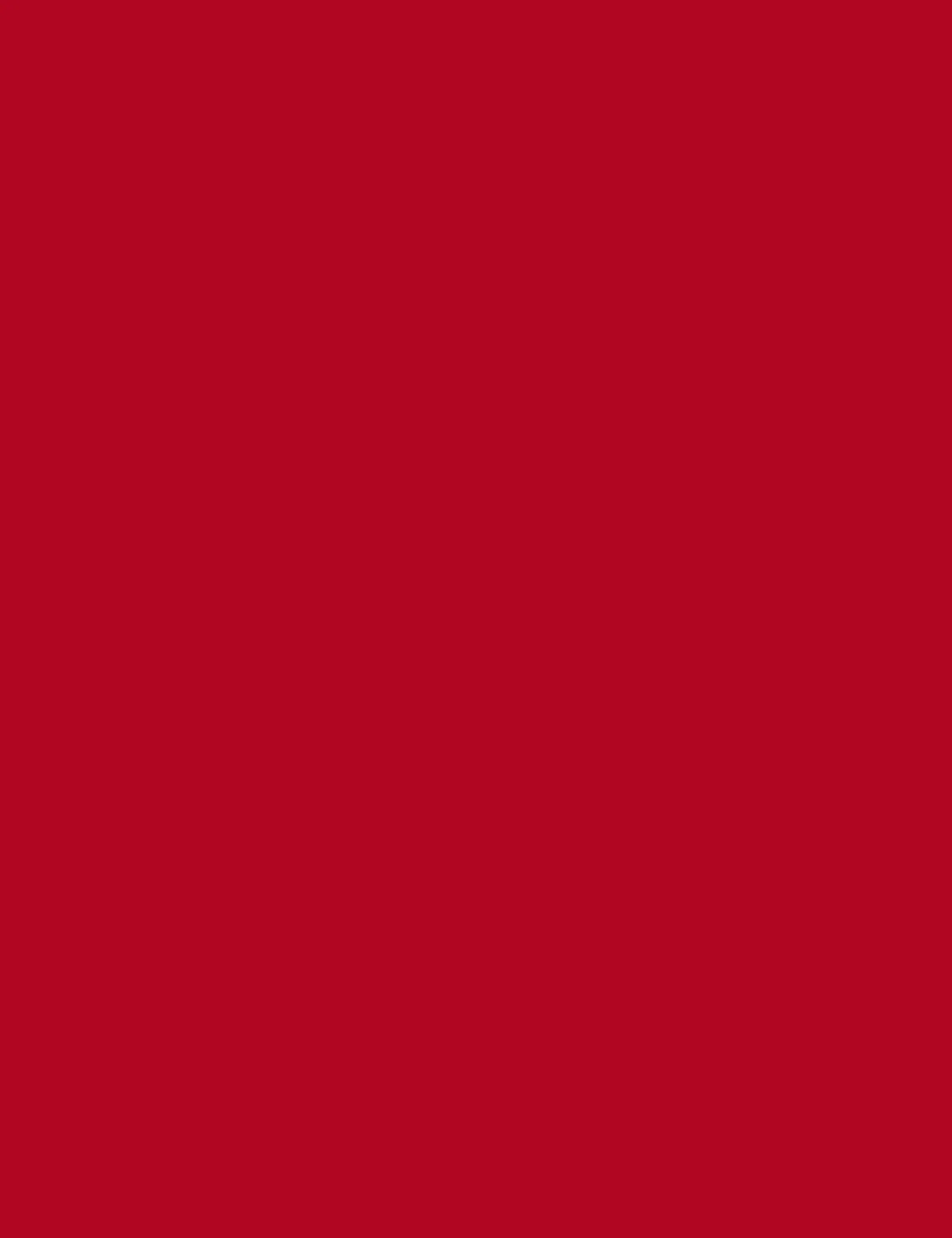 Flormar Color Master Sls-014 The Red - Image 3
