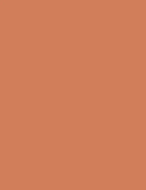 Flormar Color Shadow Stick 002 - Image 4