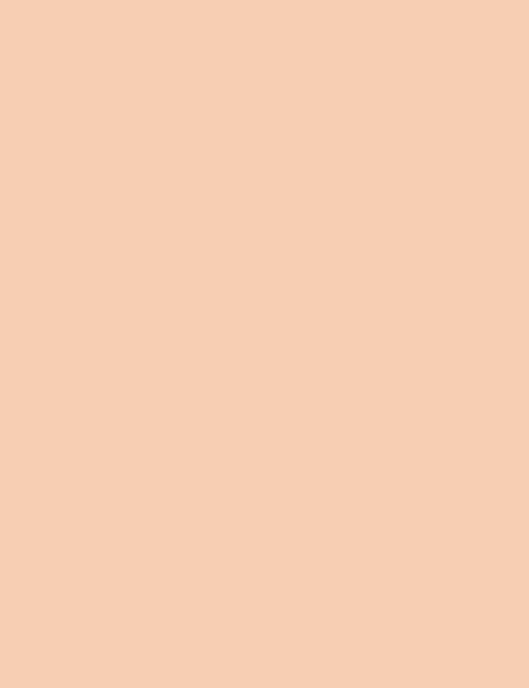 Flormar Concealer Stay Perfect 007 - Image 3