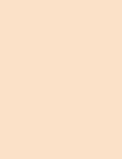 Flormar Fixing Setn Go Powder Cpw 002 Np - Image 4