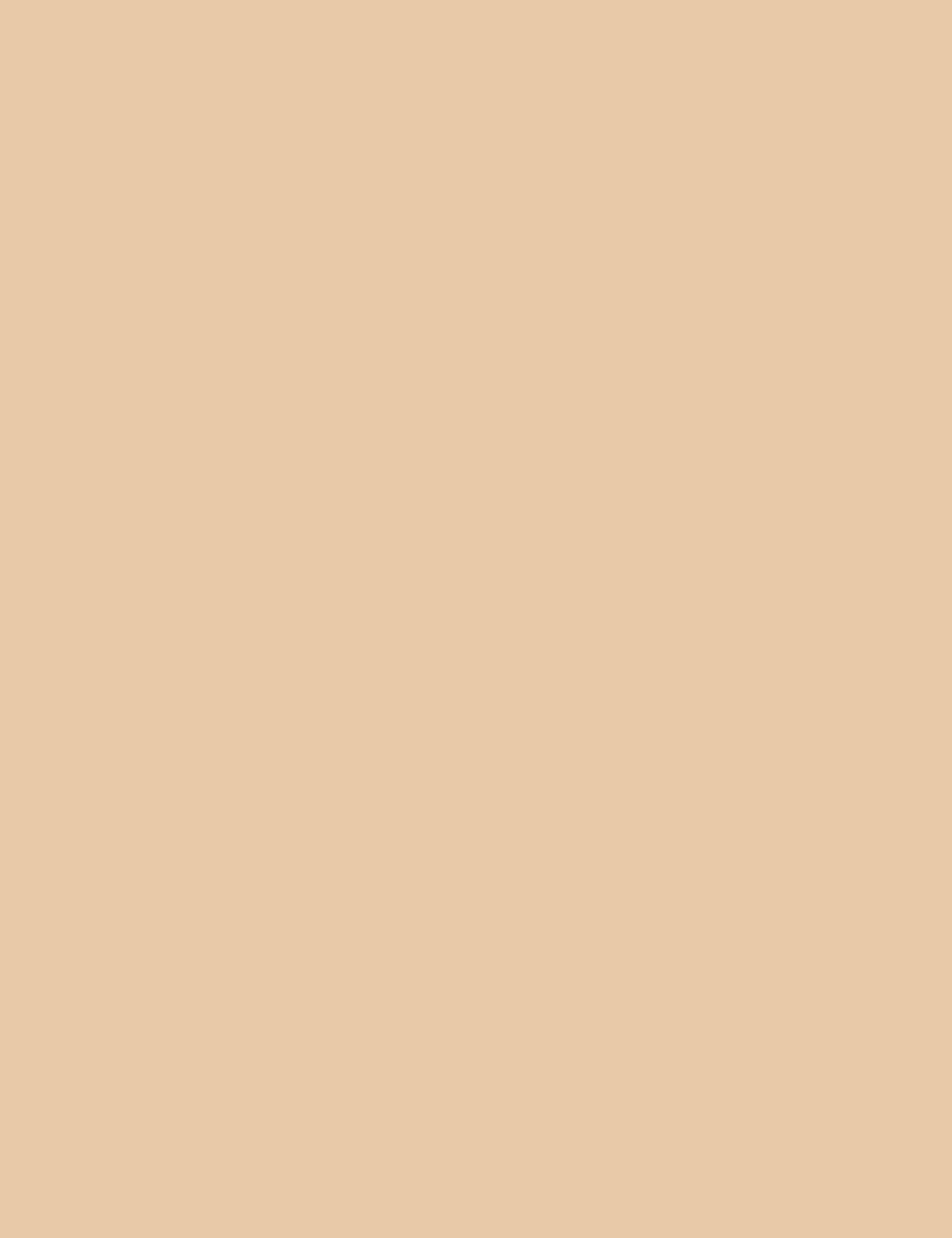 Flormar Hd Invisible Cover 60 Ivory Np - Image 3