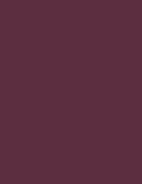 Flormar Lpw Lightweight Lipstick 013 - Image 3