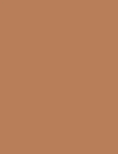 Flormar Perf Cov Liquid Concelaler 52 - Image 3