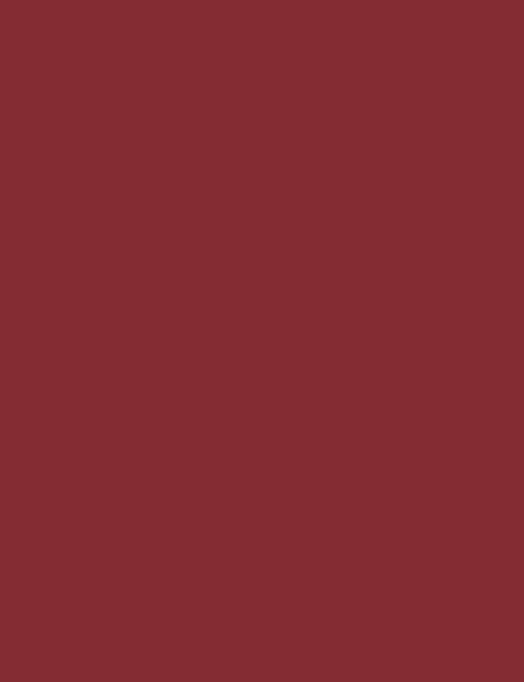 Flormar Silk Matte Liquid Lipstick 06 - Image 4