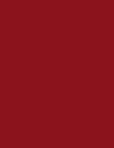 Flormar Silk Matte Liquid Lipstick 14 - Image 4