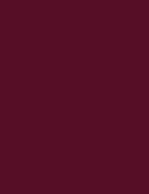 Flormar Silk Matte Liquid Lipstick 15 - Image 4