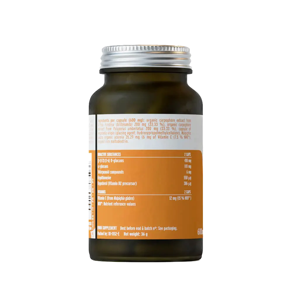 Hifas Detox – 60 Cápsulas – Hifas da Terra - Image 2