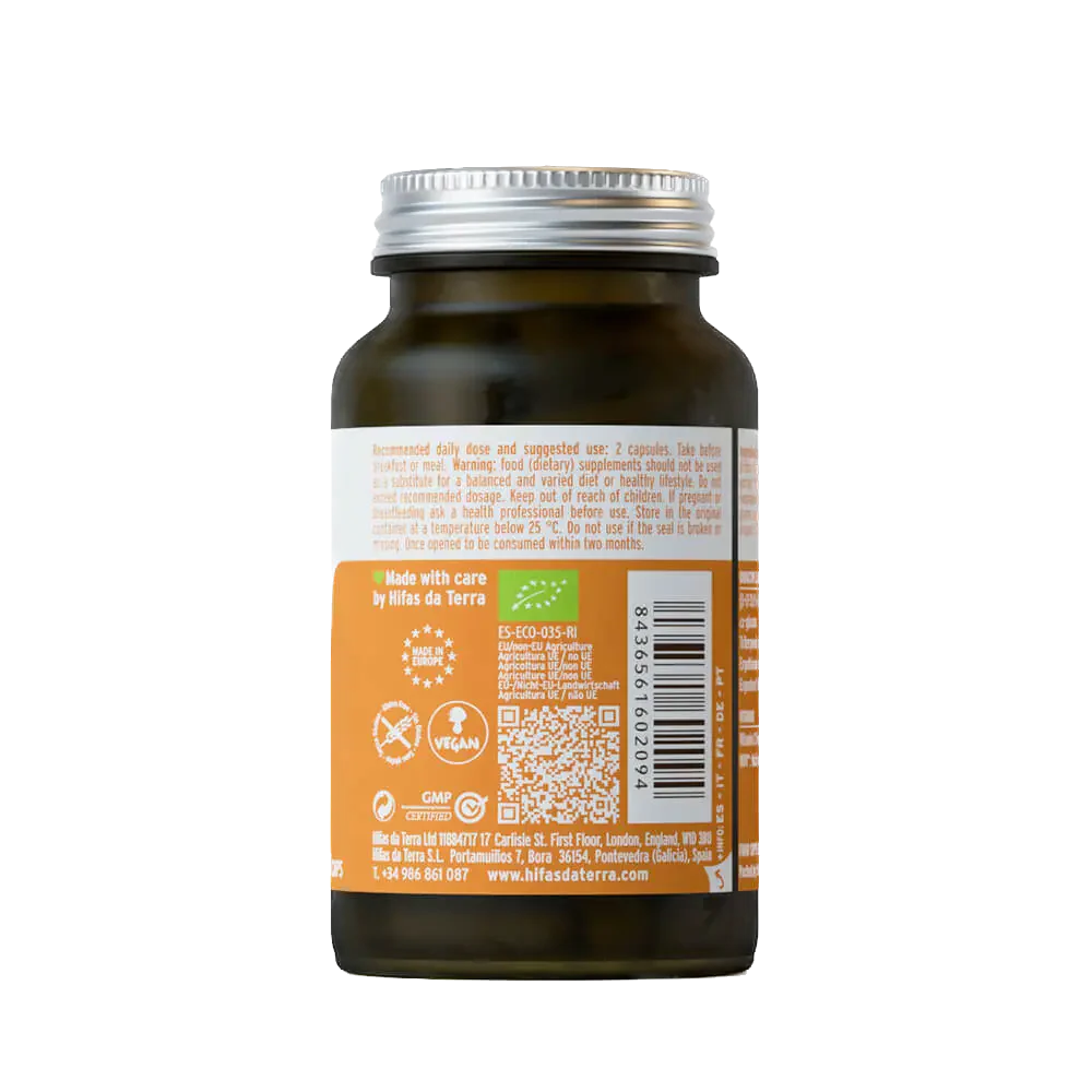 Hifas Detox – 60 Cápsulas – Hifas da Terra - Image 3