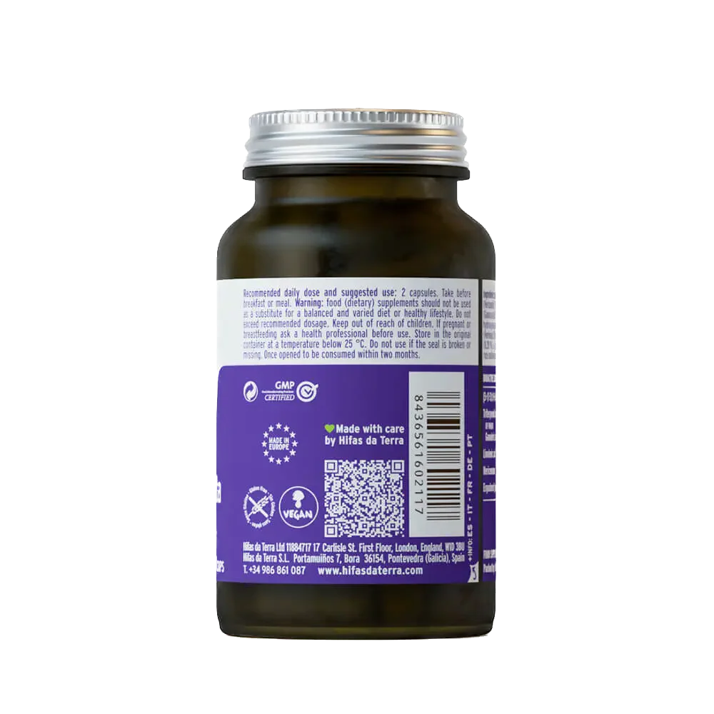 Hifas Microbiota – 60 Cápsulas – Hifas da Terra - Image 4